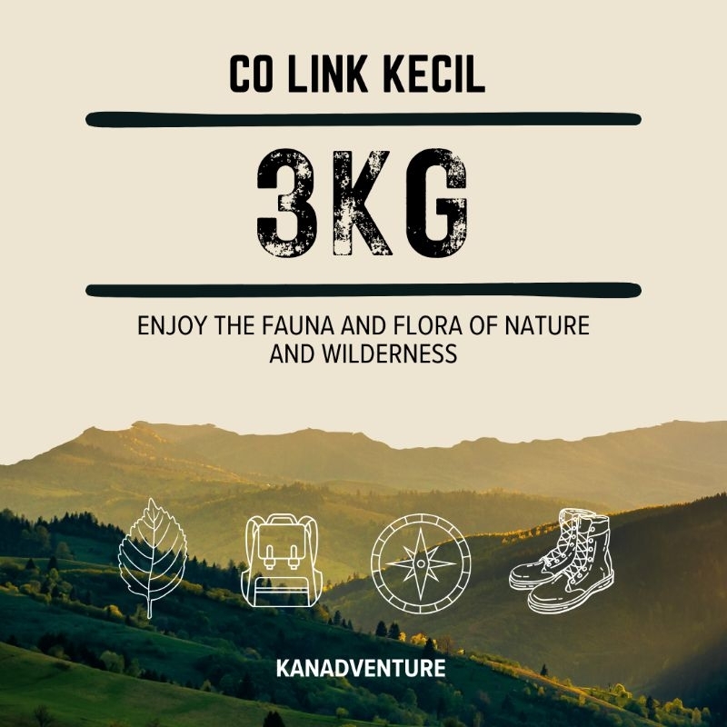 tas Deuter Aircontact Link Co 3kg + ADMIN