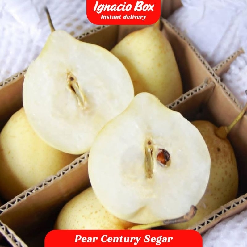 

PROMO Buah Pir Segar Pear Century 500gram Fresh IgnacioBox