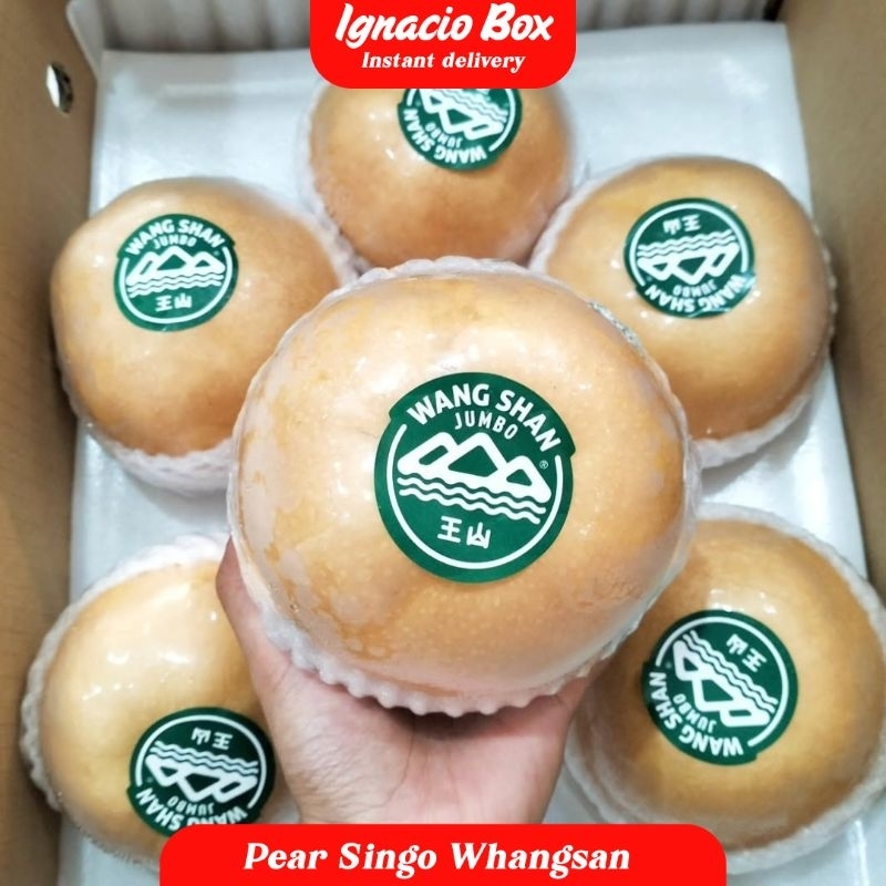 

PROMO Wang Shan Jumbo Pear Singo Whangsan Import Fresh IgnacioBox