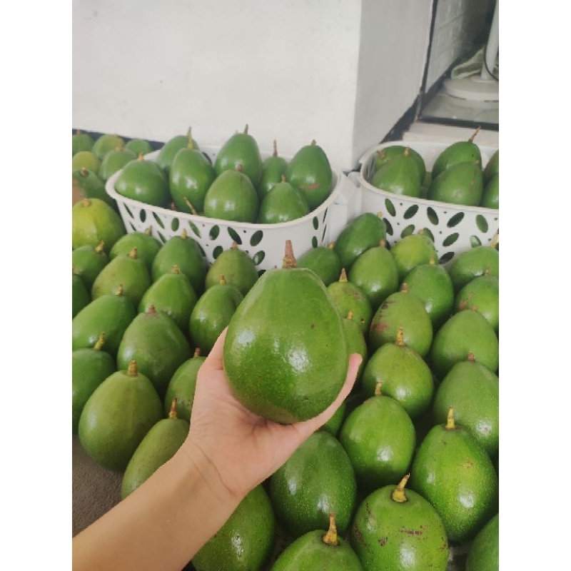 

Alpukat Miki 1 kg