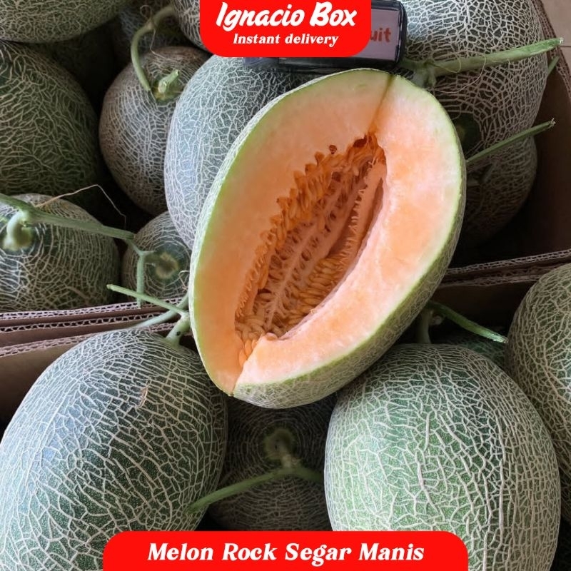 

Melon Rock Segar Manis 1.5-2kg | Melon Rock Fresh IgnacioBox