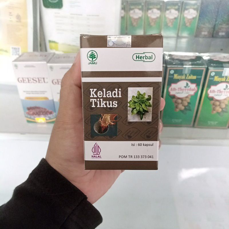 

Herbal Keladi Tikus