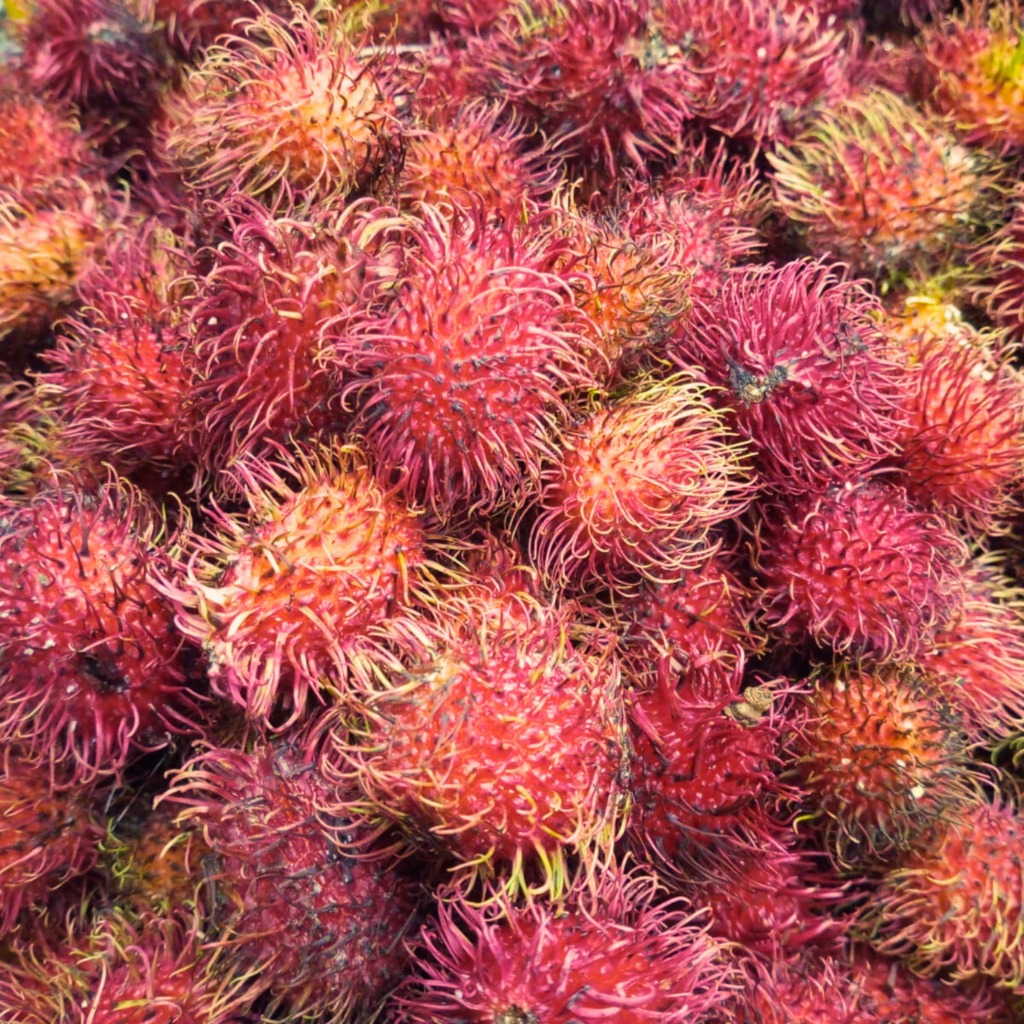 

Rambutan Parakan Kiloan Tanpa Batang