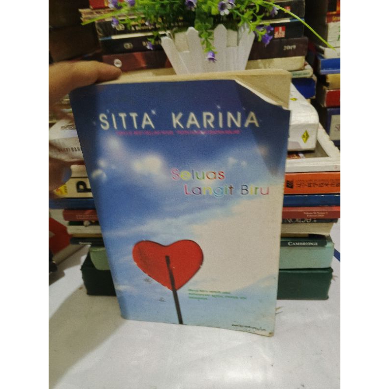 NOVEL SELUAS LANGIT BIRU,SITTA KARINA