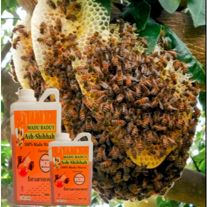 

MADU HUTAN BADUY ASLI DAN MURNI 1KG