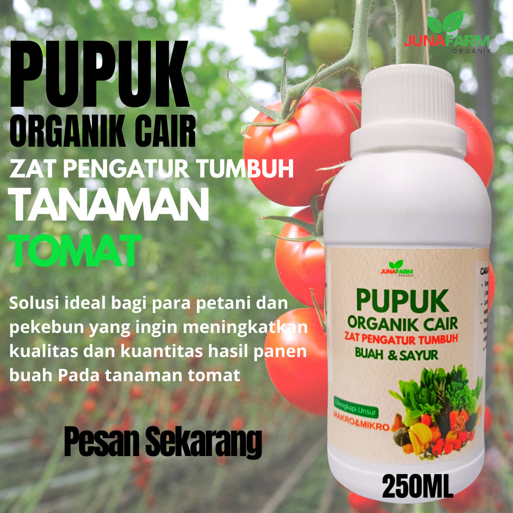 pupuk tomat/pupuk untuk tomat/pupuk tanaman tomat/pupuk organik tomat