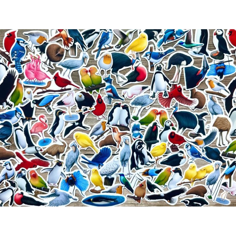 

50PCS+ STICKER UNGGAS | STICKER BURUNG UNGGAS | BIRD STICKERS | STICKER JENIS-JENIS BURUNG