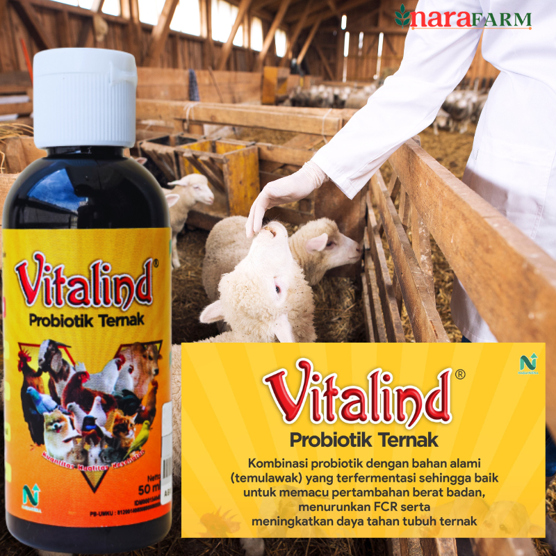 Probiotik ternak burung,Probiotik peternakan kambing,Probiotik ternak unggas,Vitamin probiotik