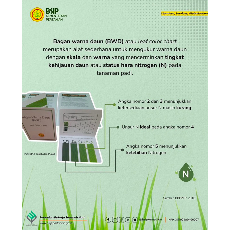 BWD 4 Chart Bagan Warna Daun Untuk tanaman padi