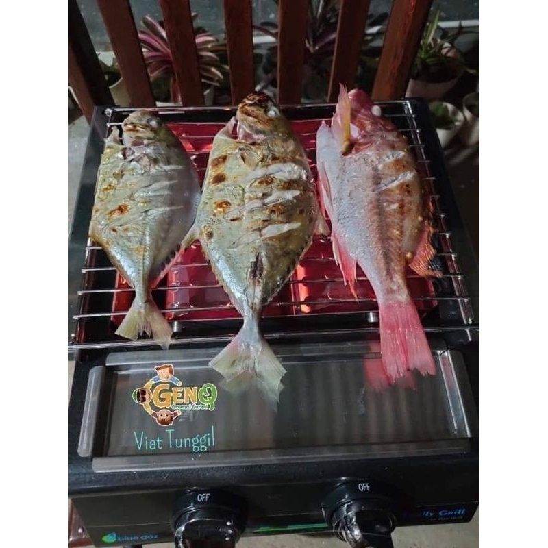 panggangan Gas / Kompor Panggangan / Family Grill