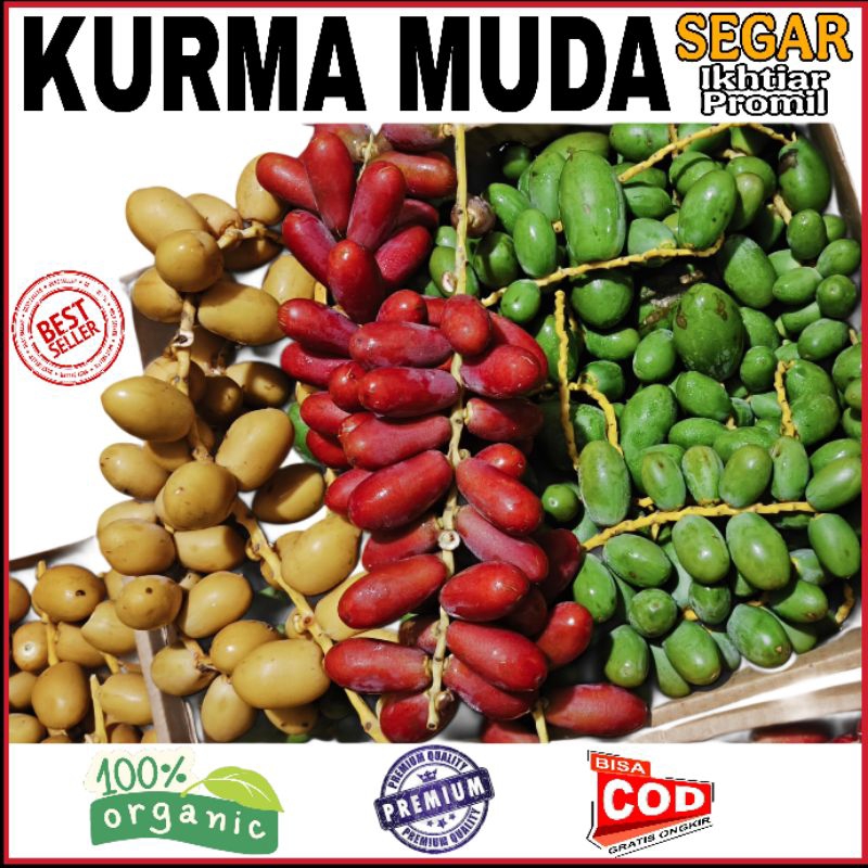 

KURMA MUDA PROMIL SEGAR - Kurma Muda Promil Segar Kurma Muda Ikhtiar Hamil Pasutri Ruthob
