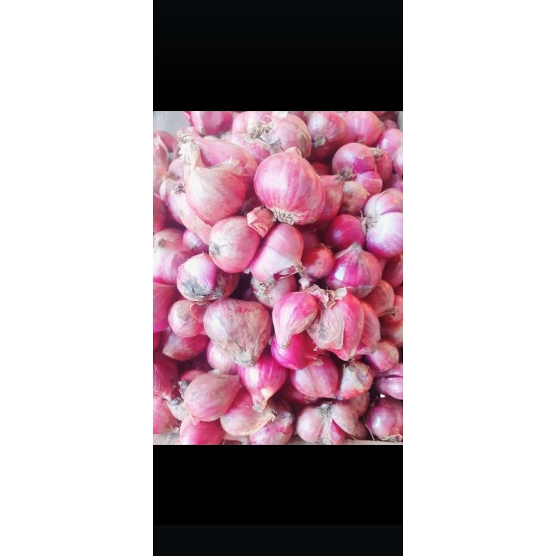 

bawang merah
