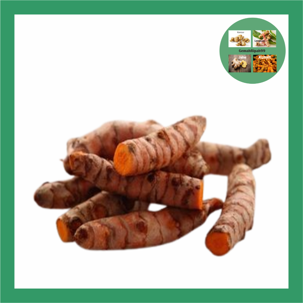 

Kunyit Segar kunir segar 500gr / Kunir Fresh