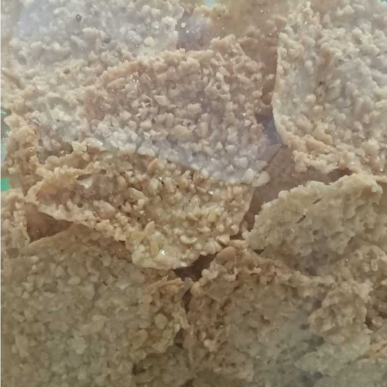 

REMPEYEK KACANG RENYAH 500 GRAM | GURIH ENAK MURAH
