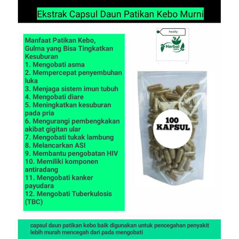 

Terlaris ekstrak daun patikan kebo murni asma - tukak lambung - hiv - kanker payudara - tbc