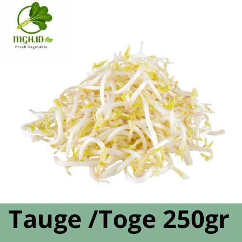 

[KIRIM INSTAN] Toge Tauge Segar 250 gr