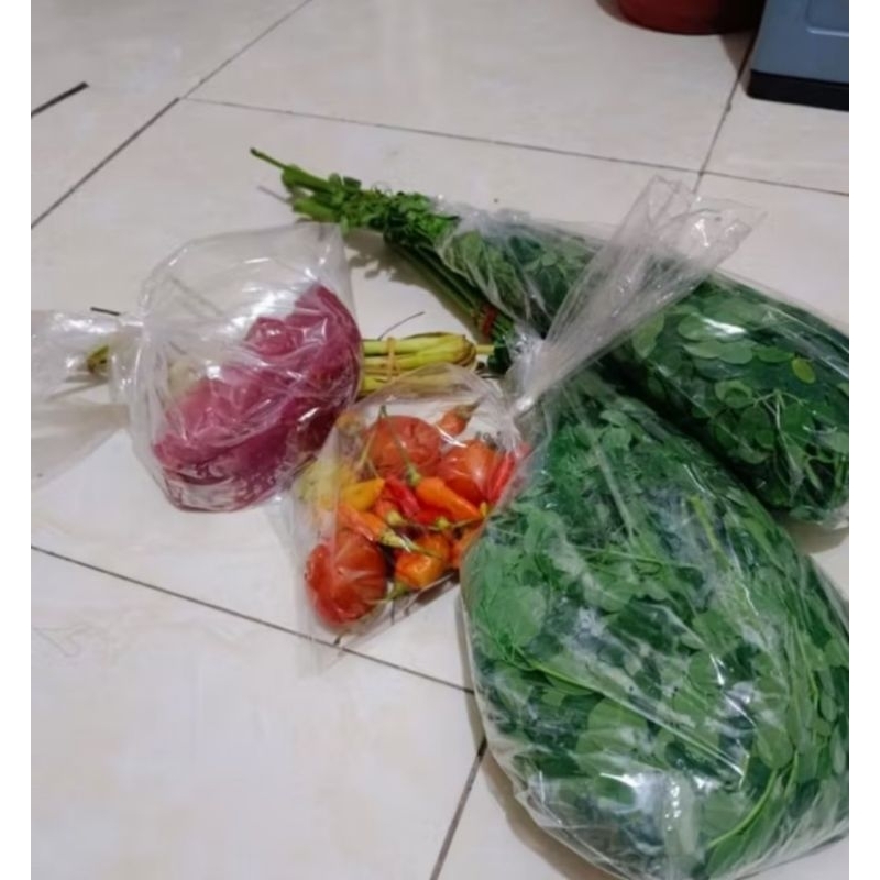 

daun kelor/sayur 1 bungkus