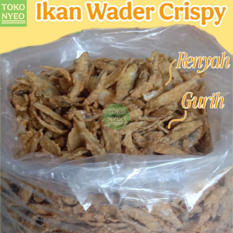 

[ Renyah Gurih ] Ikan Wader Laut Crispy Siap Makan 500 gram Oleh Oleh Surabaya - Asin, Goreng, Food, Keripik, Camilan, Fish, Kering, Snack, Pedas