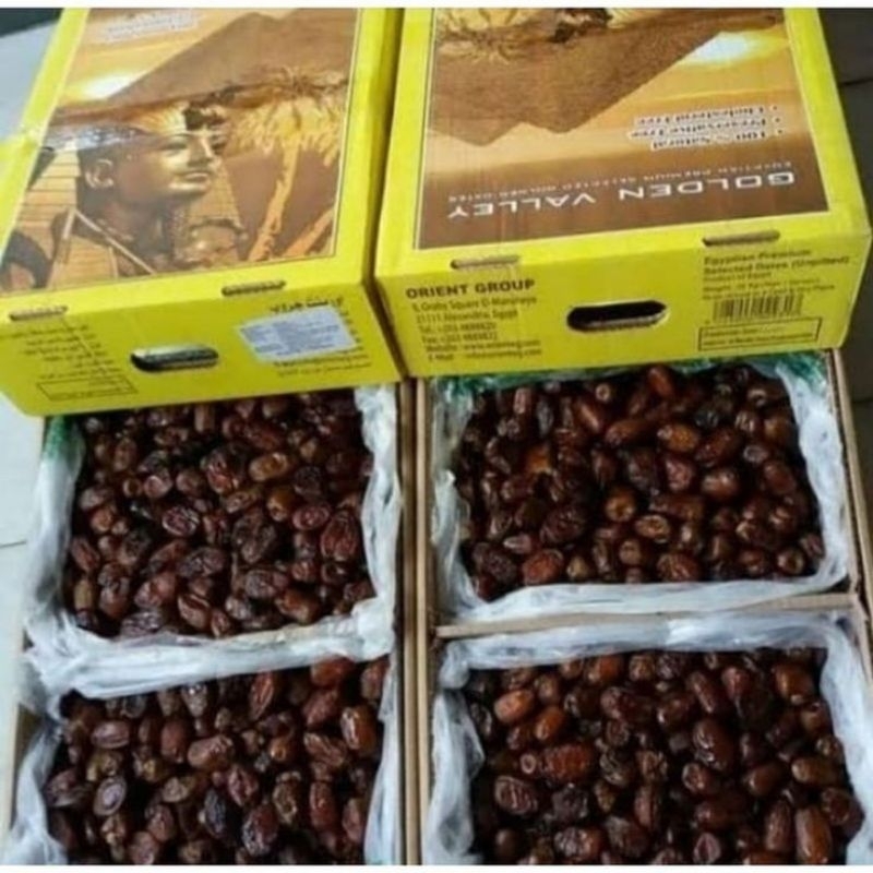 

KURMA GOLDEN VALLEY MESIR 10 KG KARDUS