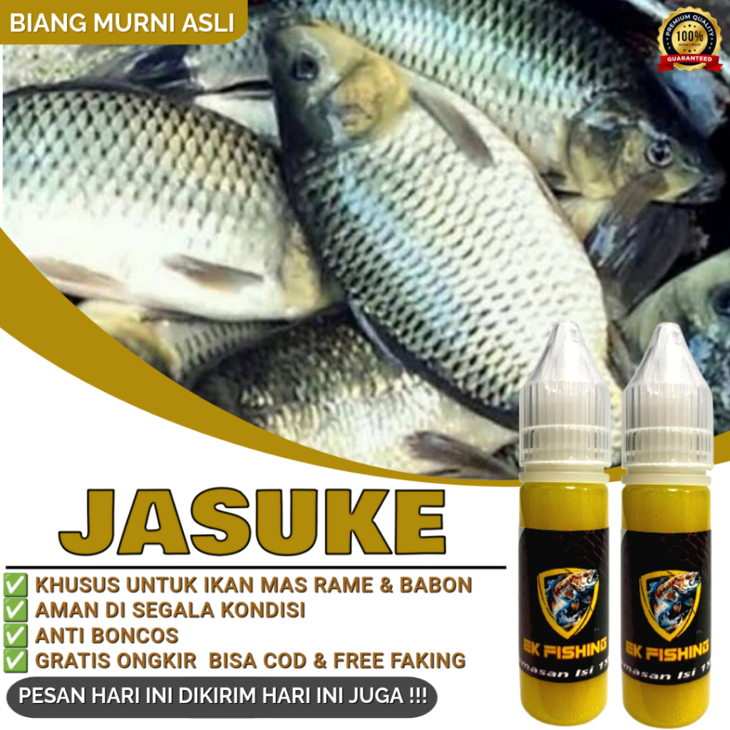 JASUKE Umpan ikan mas Super - Umpan Mancing Ikan Mas Aroma Jagung Manis Susu Keju 10X Lebih Gacor