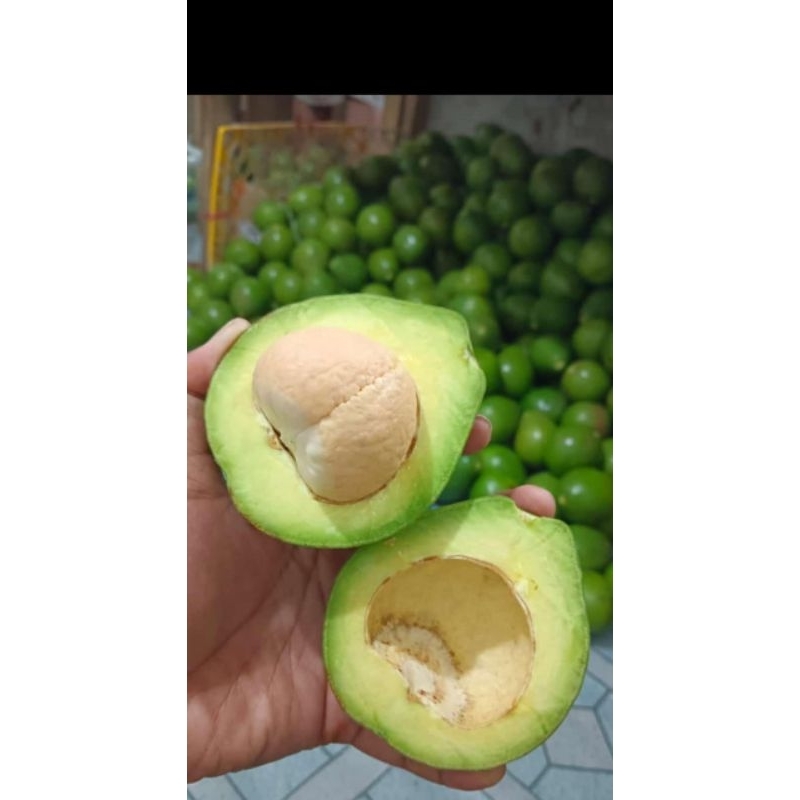 

Alpukat Mentega Kayumas
