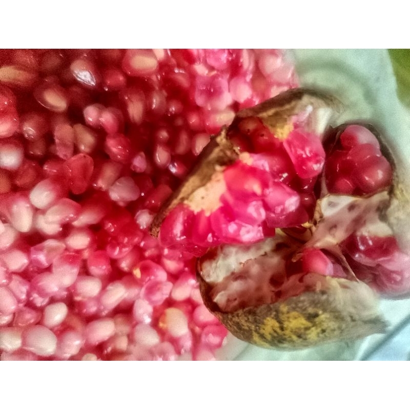 

Buah Delima Kupas 100gr