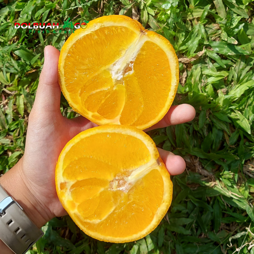 

Jeruk Sunkist Navel Manis Segar - Dolbuah