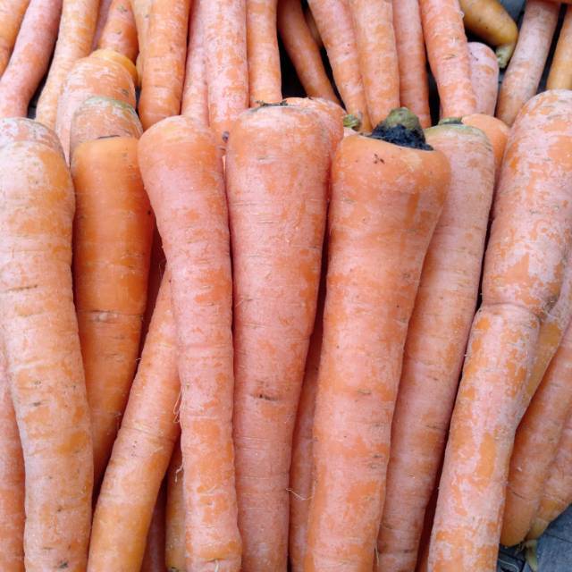 

Wortel lokal Segar 500 gram - Fresh Local Carrots 500 gram