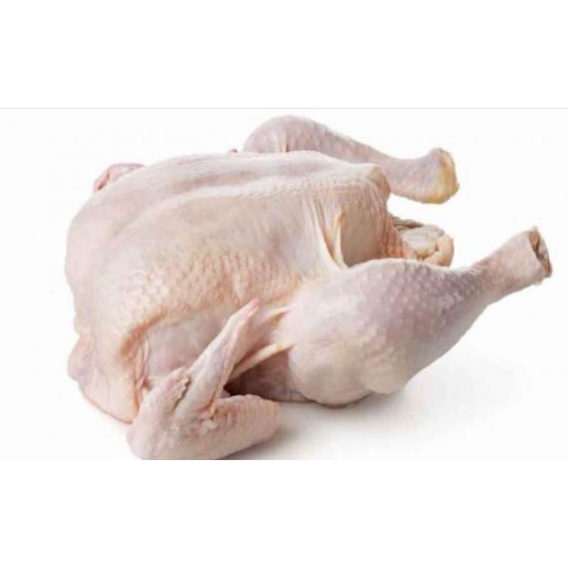 

Ayam Potong 1.6 Kg - 1.8 Kg Frozen Food