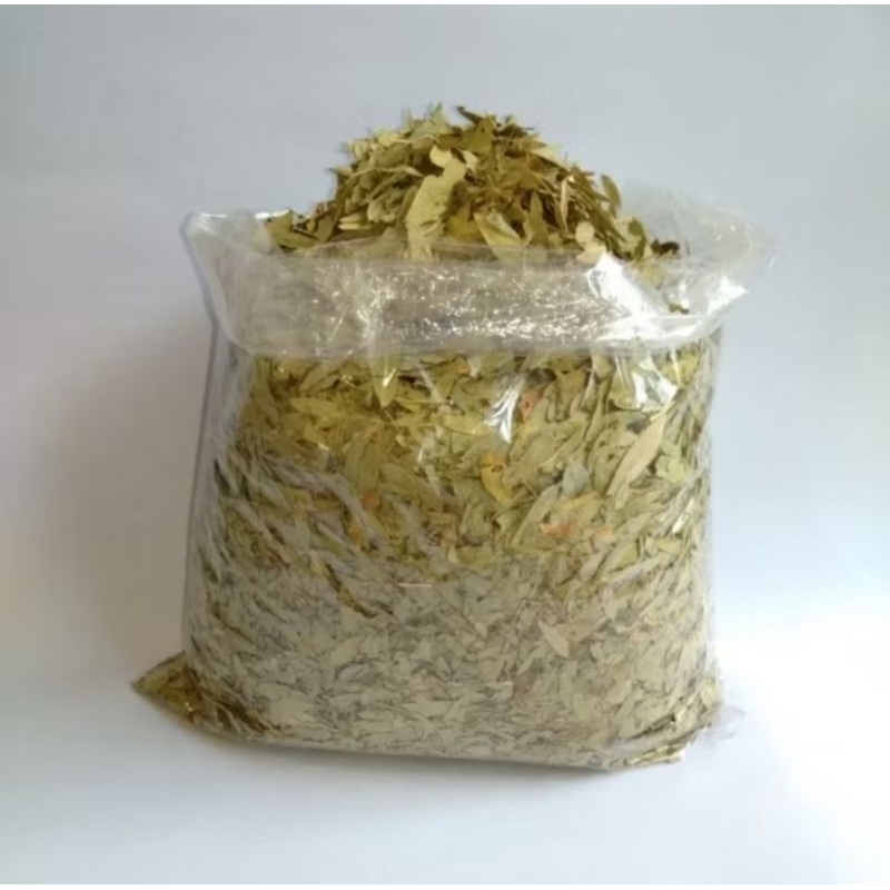 

daun jati cina