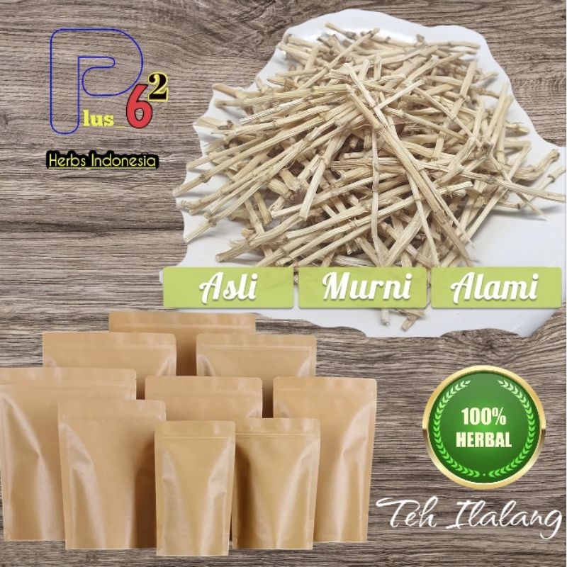 

Teh Ilalang-Akar Ilalang Alang-Alang Kering Hemat/Pack