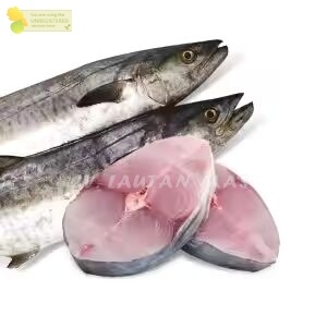 

Ikan Tenggiri Steak Ikan Tenggiri Potong Segar 1Kg