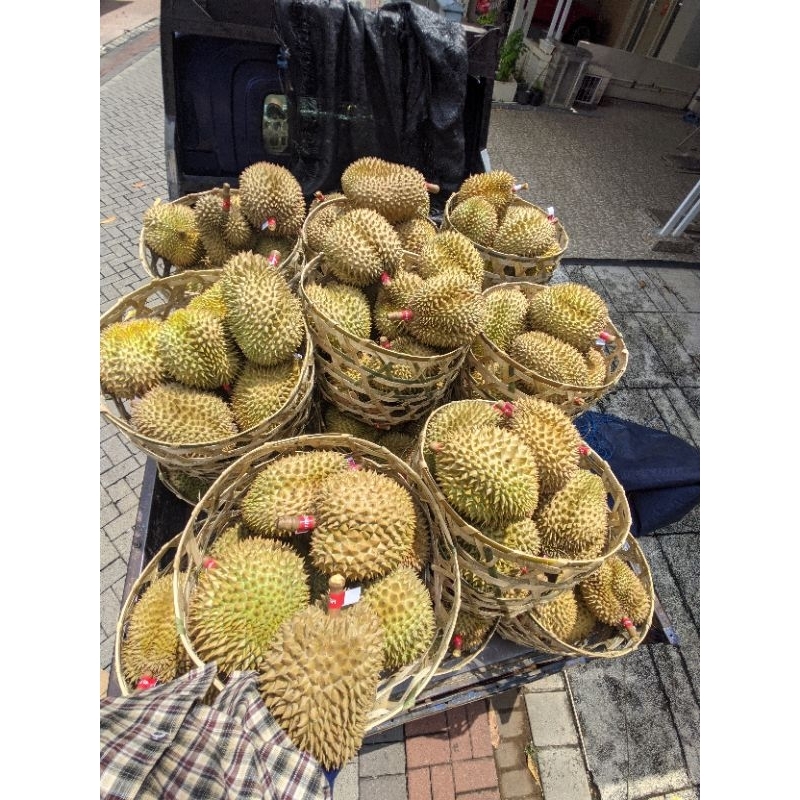 

Durian Monthong Utuh Wonosalam Varian 3-5kg Creammy Manis