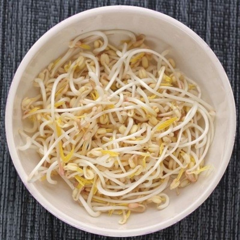 

sayuran tauge 250gr fresh
