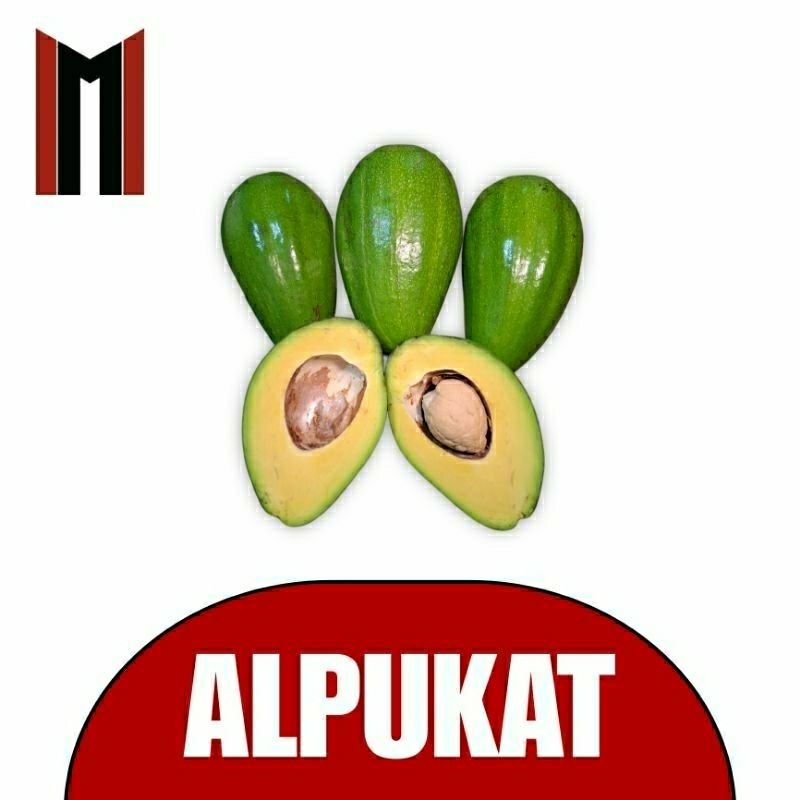 

ALPUKAT SUPER MURAH
