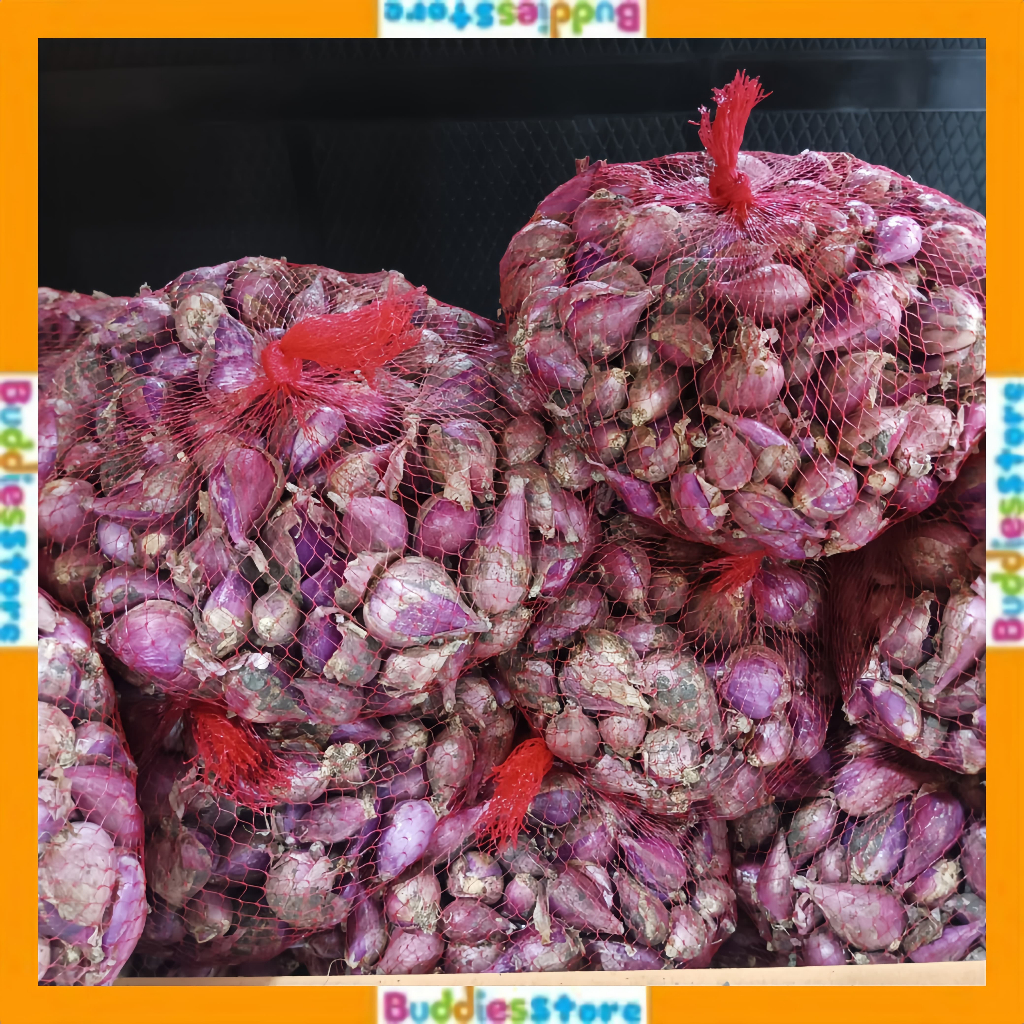 

[COD] BAWANG MERAH SUPER UKURAN 1 KG - BAWANG ASLI BREBES