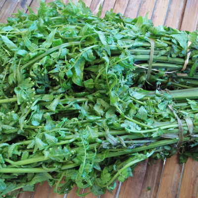 

Ready pakis sayur segar/500 gram pakis sayur olahan masakan terlaris