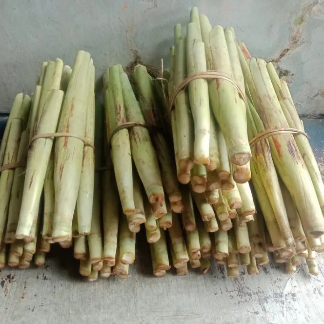 

sayur terubuk super/endog tiwu/bunga telur tebu segar/