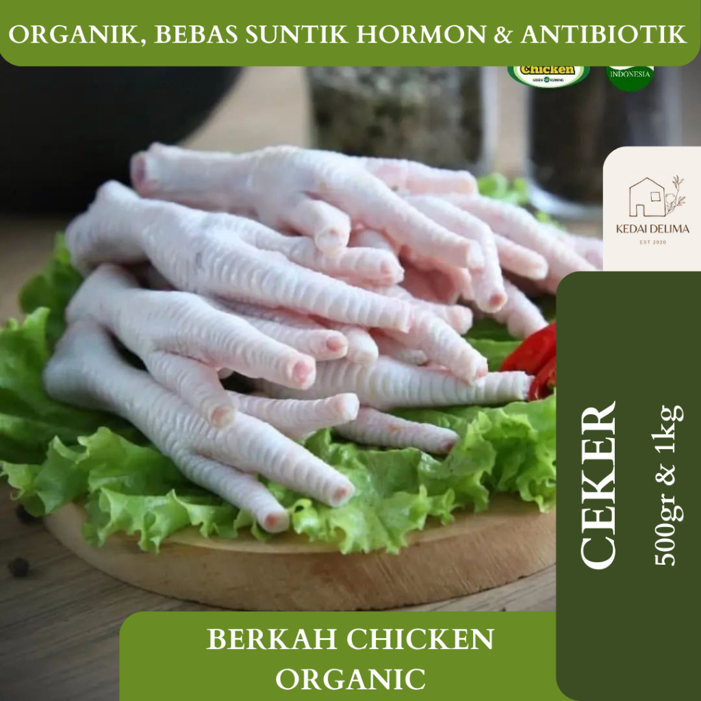 

CEKER AYAM BERKAH CHICKEN ORGANIK SERANG CILEGON