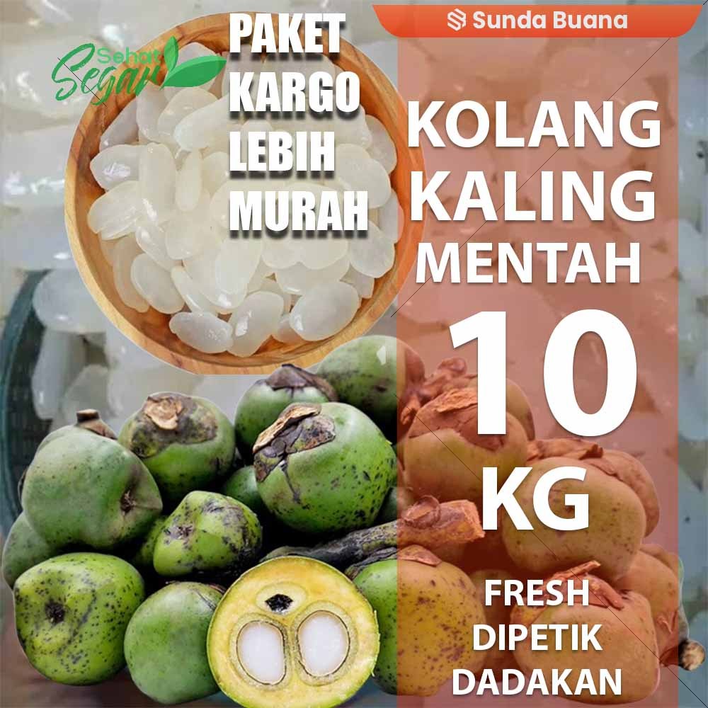 

Paket kargo Kolang Kaling Fresh 5 kg fresh