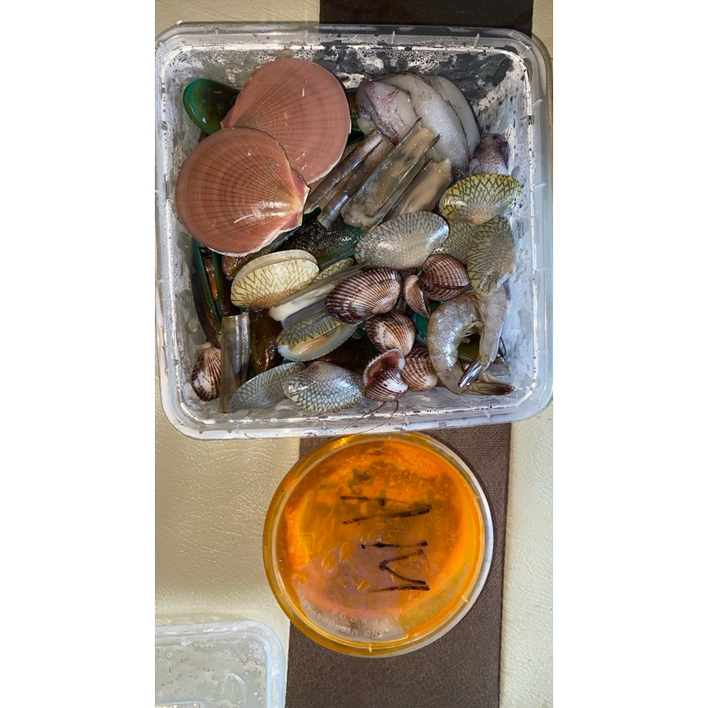 

seafood mix mentah