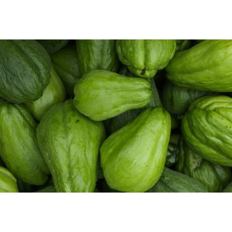 

labu siyam / sayur segar / 500 gram