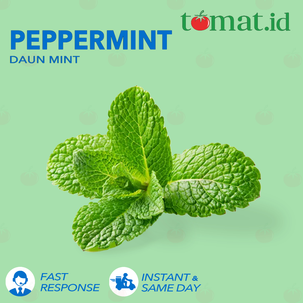 

Daun Mint / Peppermint