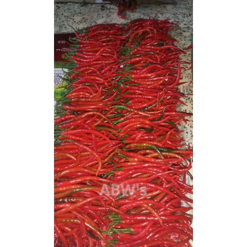 

CABE Merah Besar 1/4 (250 gr)