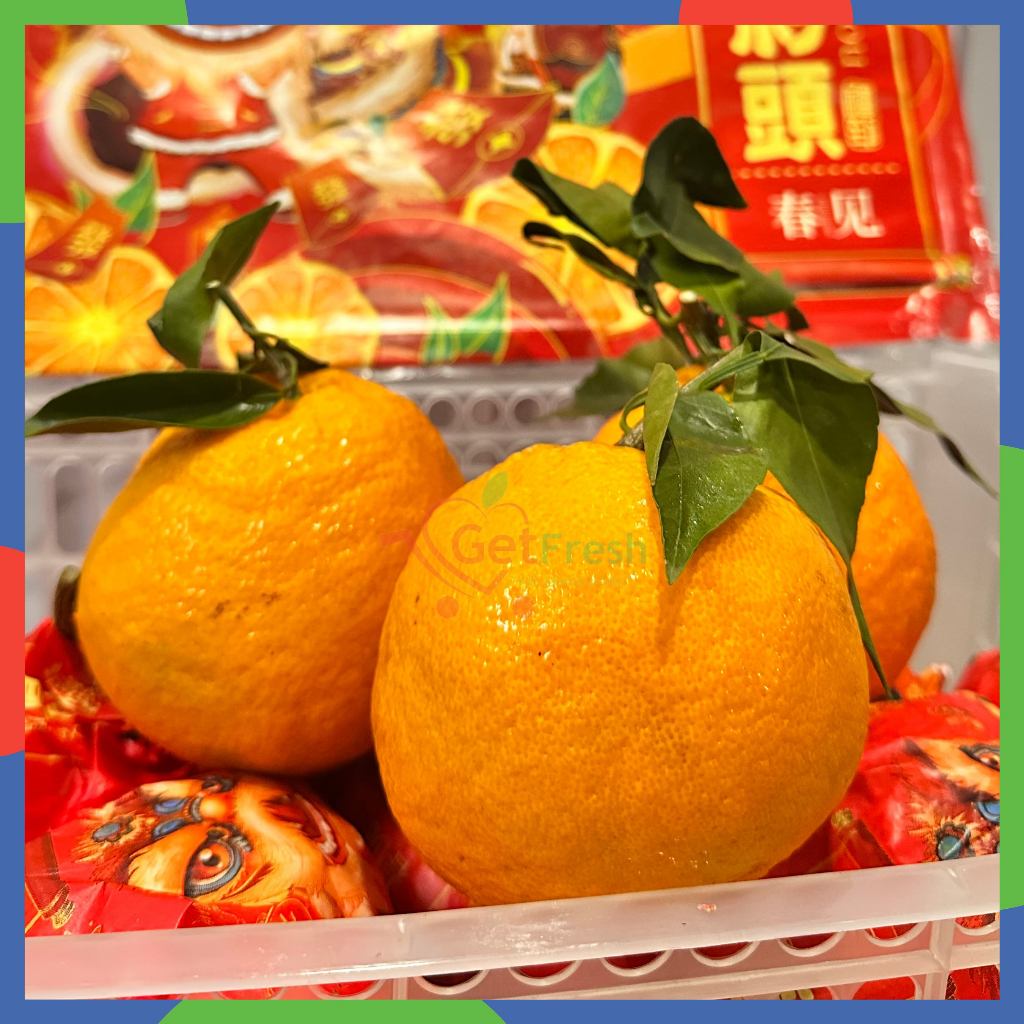 

Jeruk Dekopon / Papagan Seedless Pack 900-1000gr