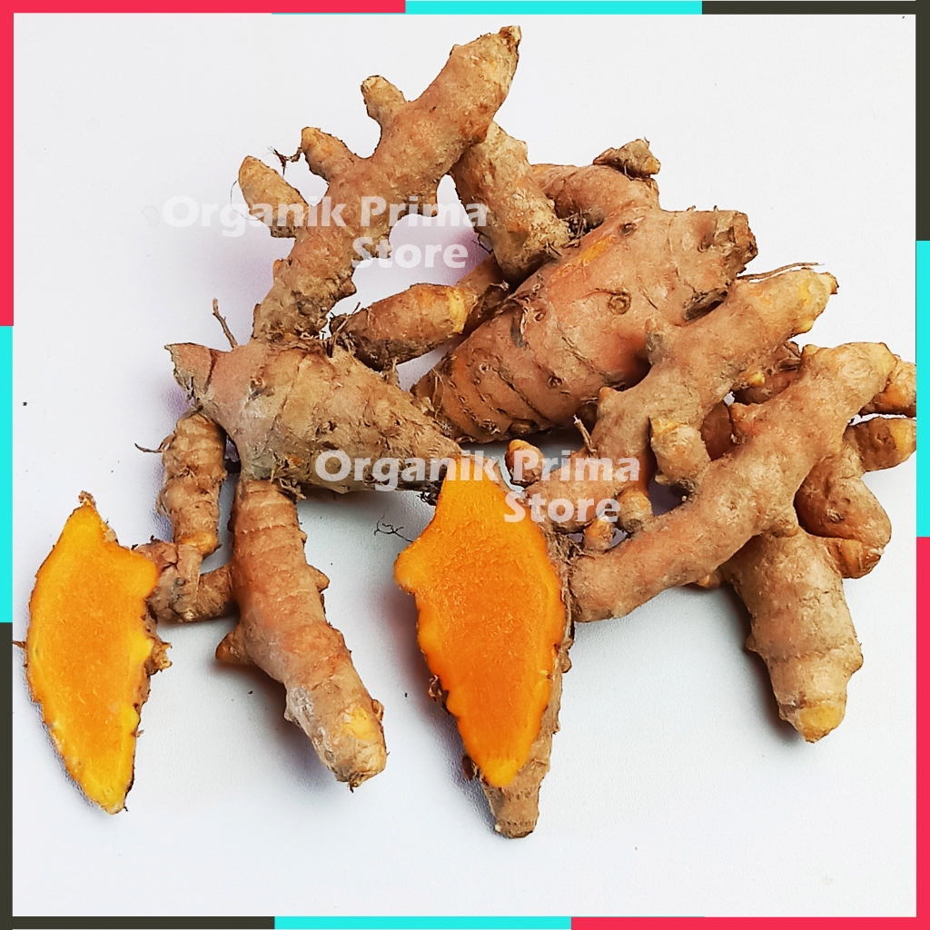 

Kunyit Segar 1kg Kunir Fresh Asli dan Organik