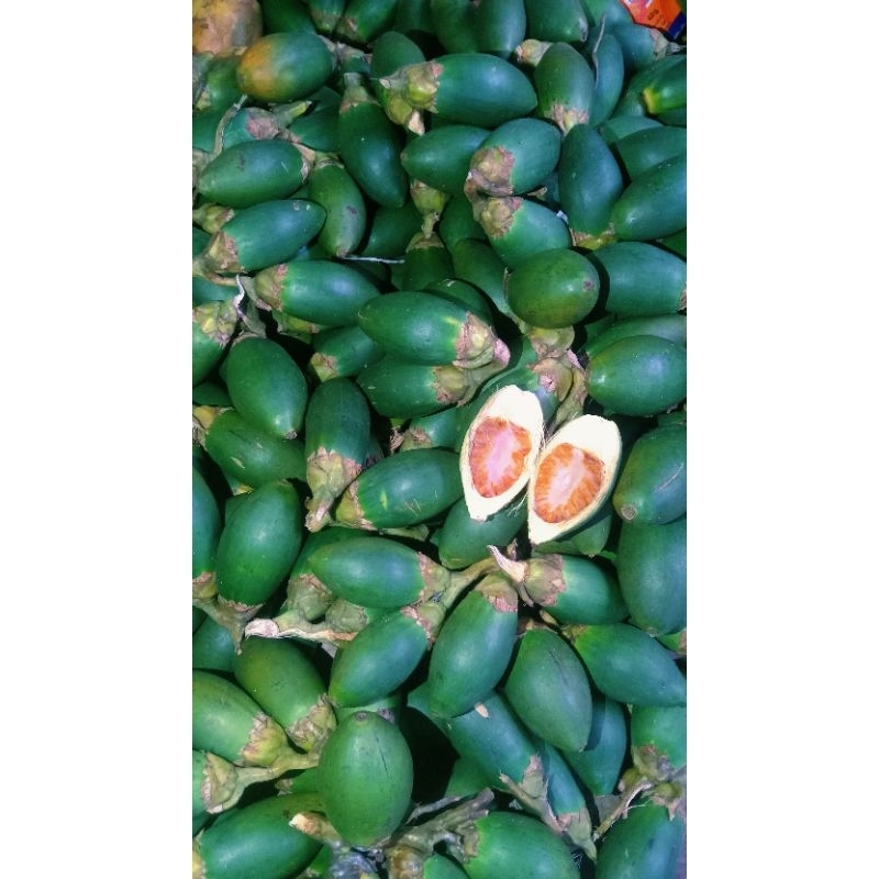 

buah Jambe atau buah pinang muda fresh 1 kg / herbal alami penambah energi pria tahan lama