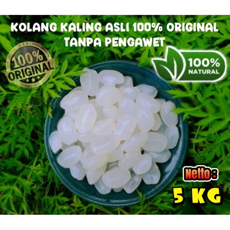 

Edisi 5KG Biji Kolang Kaling Super Besar & Kenyal 100% Asli