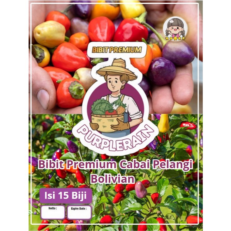 Bibit Premium Cabe Pelangi Bolivian | Benih Cabai Pelangi