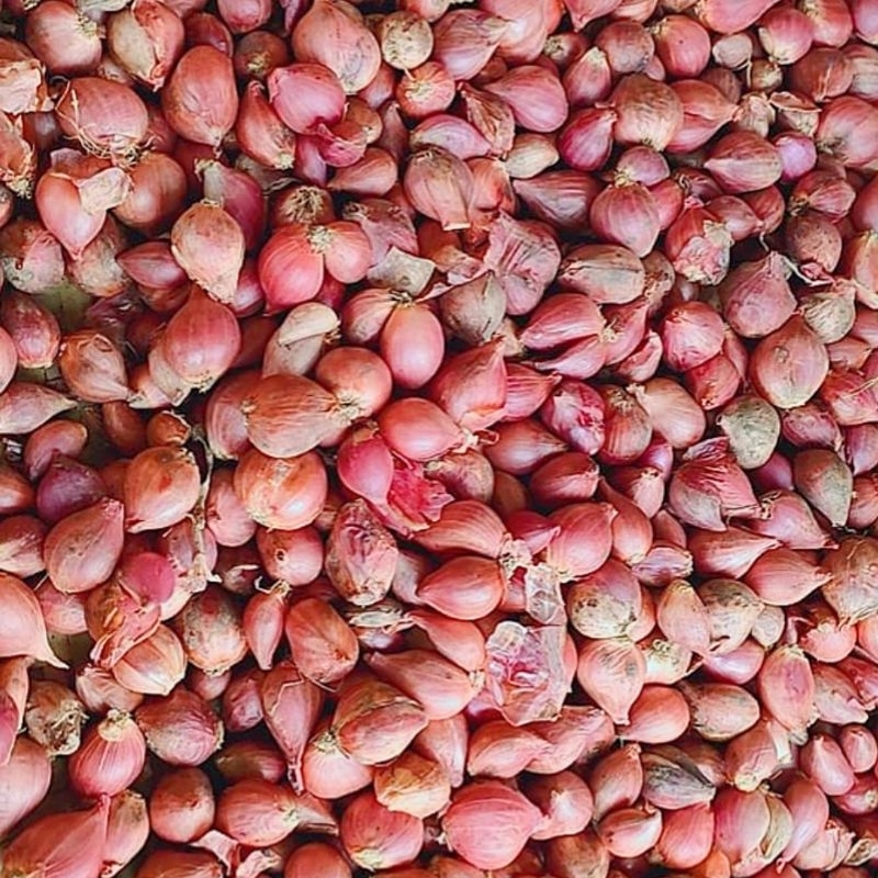 

Bawang Merah/KG